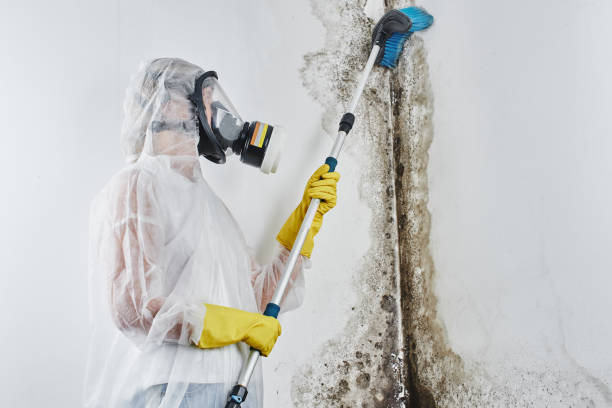 Best Crawl Space Mold Removal  in Eden, TX