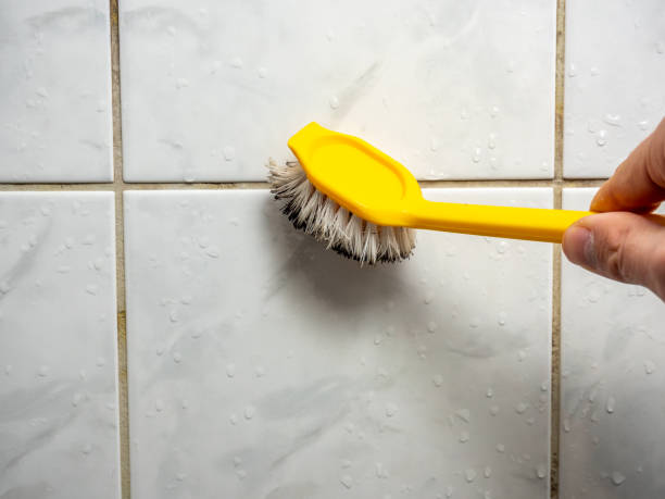 Best Black Mold Removal  in Eden, TX