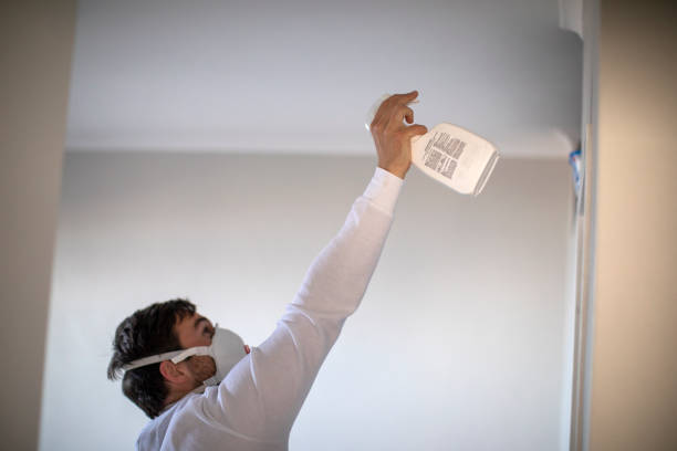 Best Emergency Mold Removal  in Eden, TX