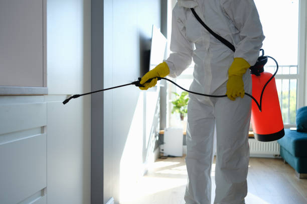 Best Certified Mold Removal  in Eden, TX
