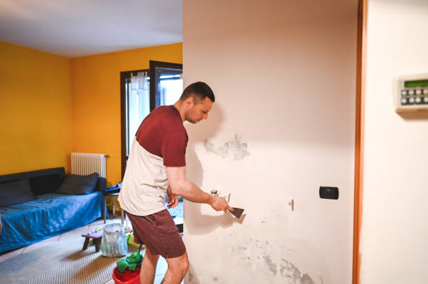Best Black Mold Removal  in Eden, TX