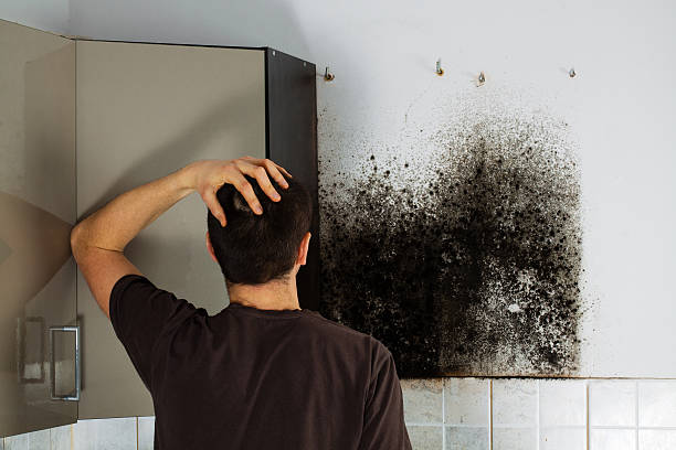 Best Commercial Mold Removal  in Eden, TX